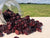 cranberries online kopen